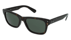 RAY-BAN RB 2283