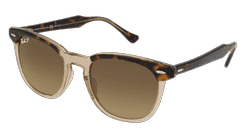 RAY-BAN RB 2298 HAWKEYE