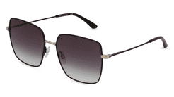 Calvin Klein CK20135S
