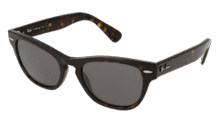 RAY-BAN RB 2201 LARAMIE